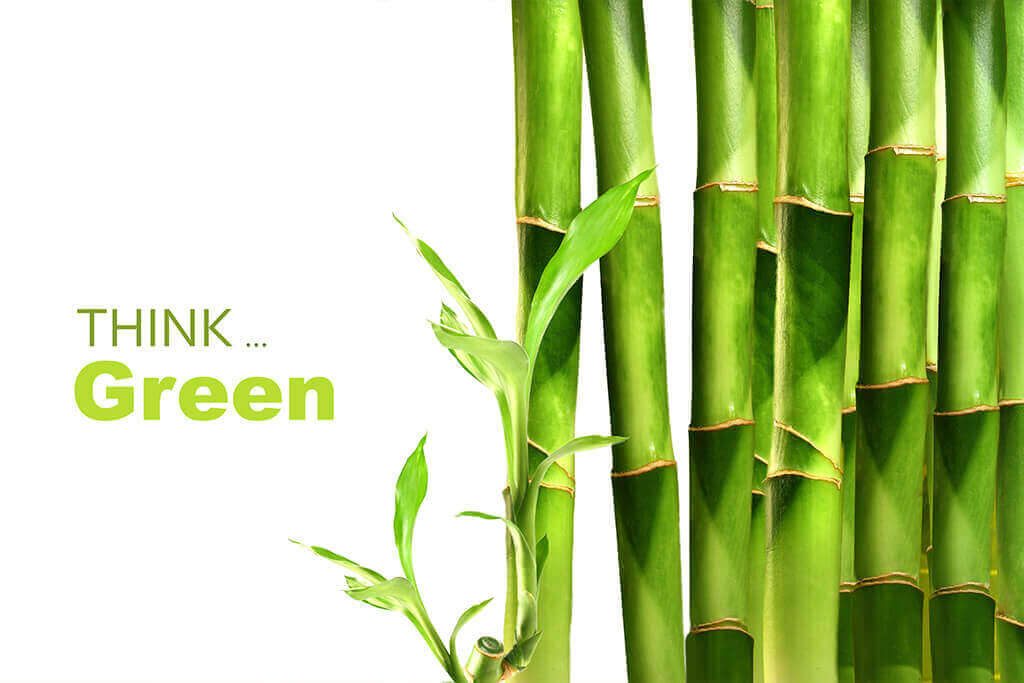 think green paper options